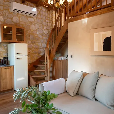 Plasis Country * イリア